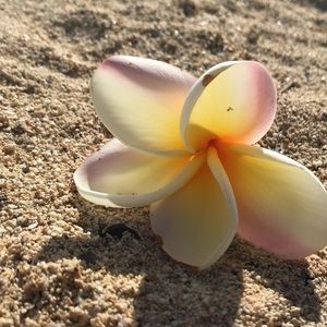 Meet your Posher, Kiara